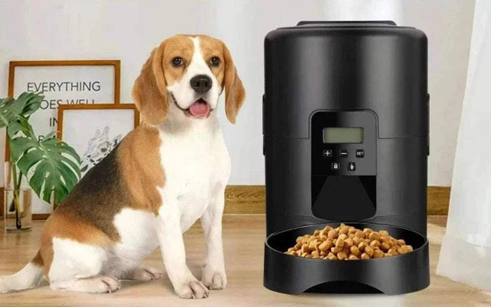 Alimentation & accessoires