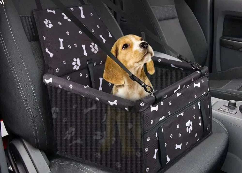 Chien assis dans un transporteur de voyage