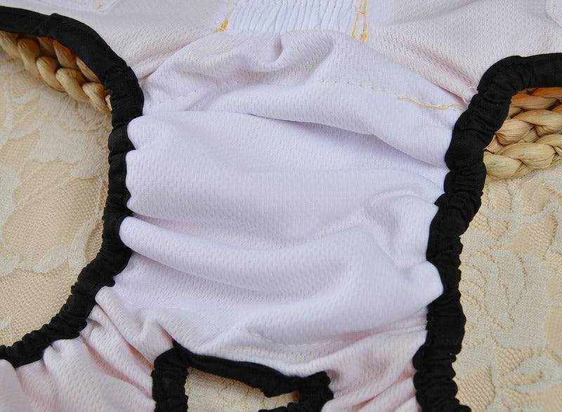 Culottes de Sécurité Menstuelle pour Chiennes | Protection Confortable