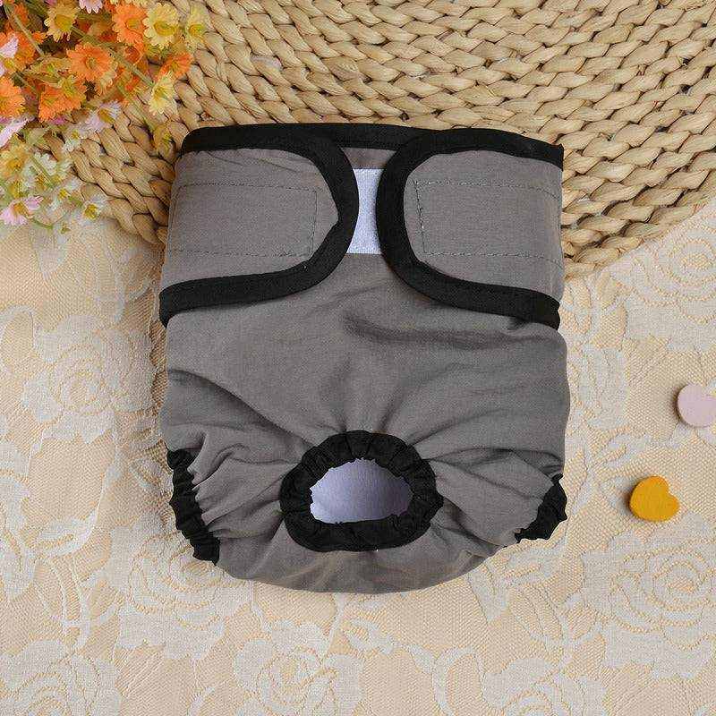 Culottes de Sécurité Menstuelle pour Chiennes | Protection Confortable