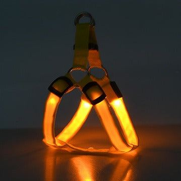 Arnés con luz LED para perros y gatos: visibilidad, seguridad y comodidad