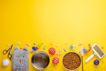 image de choses pour animaux sur fond jaune