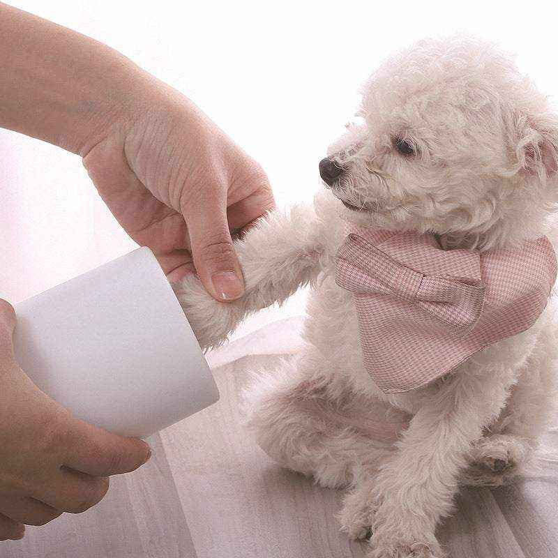 Lave-patte pour chiens et chats | démonstration