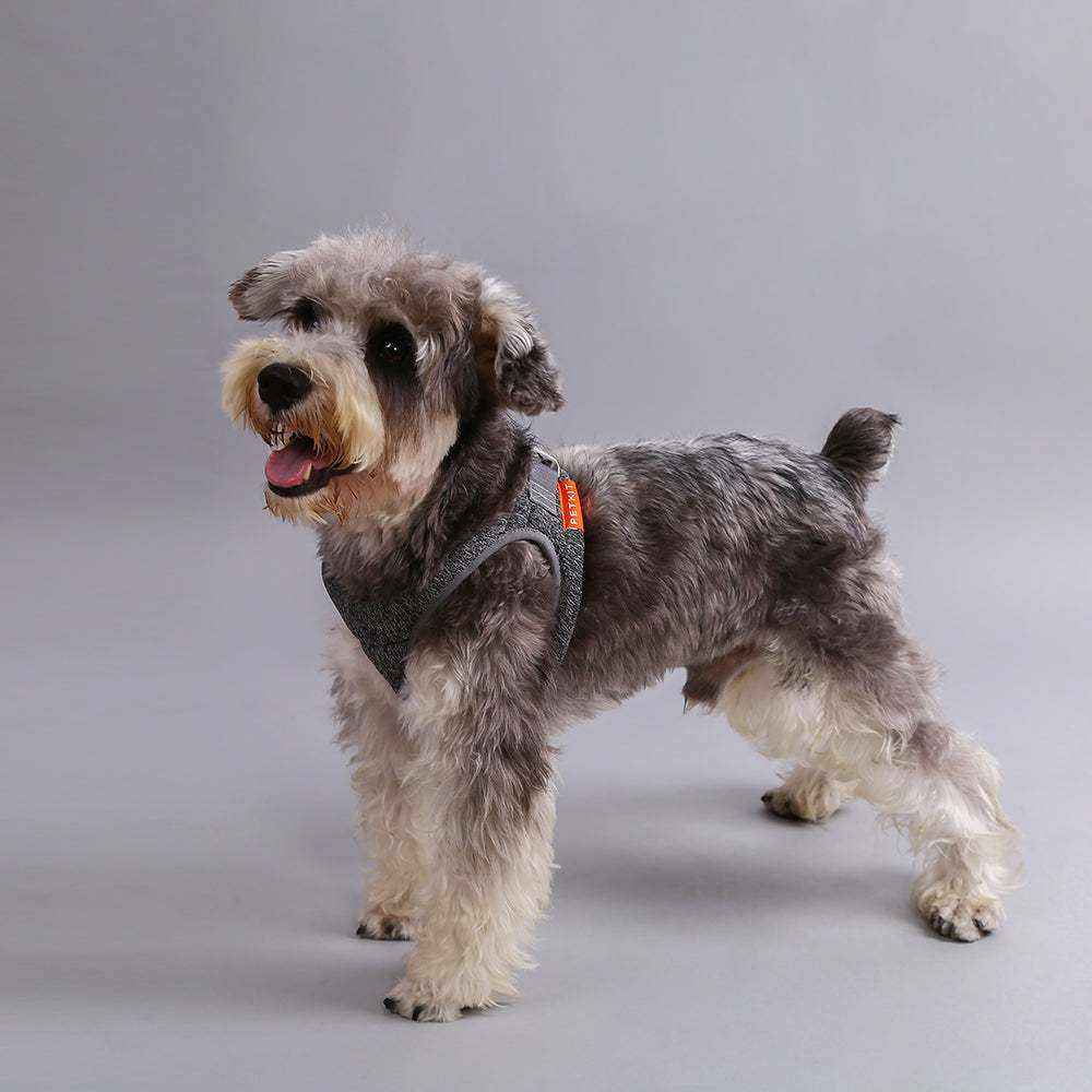 Harnais pour Chien INSTACHEW PETKIT Air Pro - Confort et Sécurité