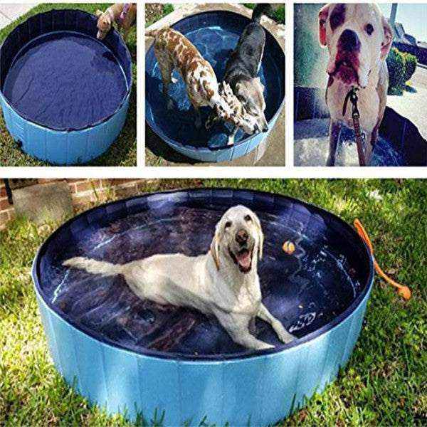 Foldable dog pool made of durable, slip-resistant PVC, shown with dogs enjoying playtime; ideal for versatile use indoors and outdoors.