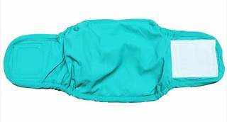 Ceinture physiologique pour chien - confortable et pratique - bleu