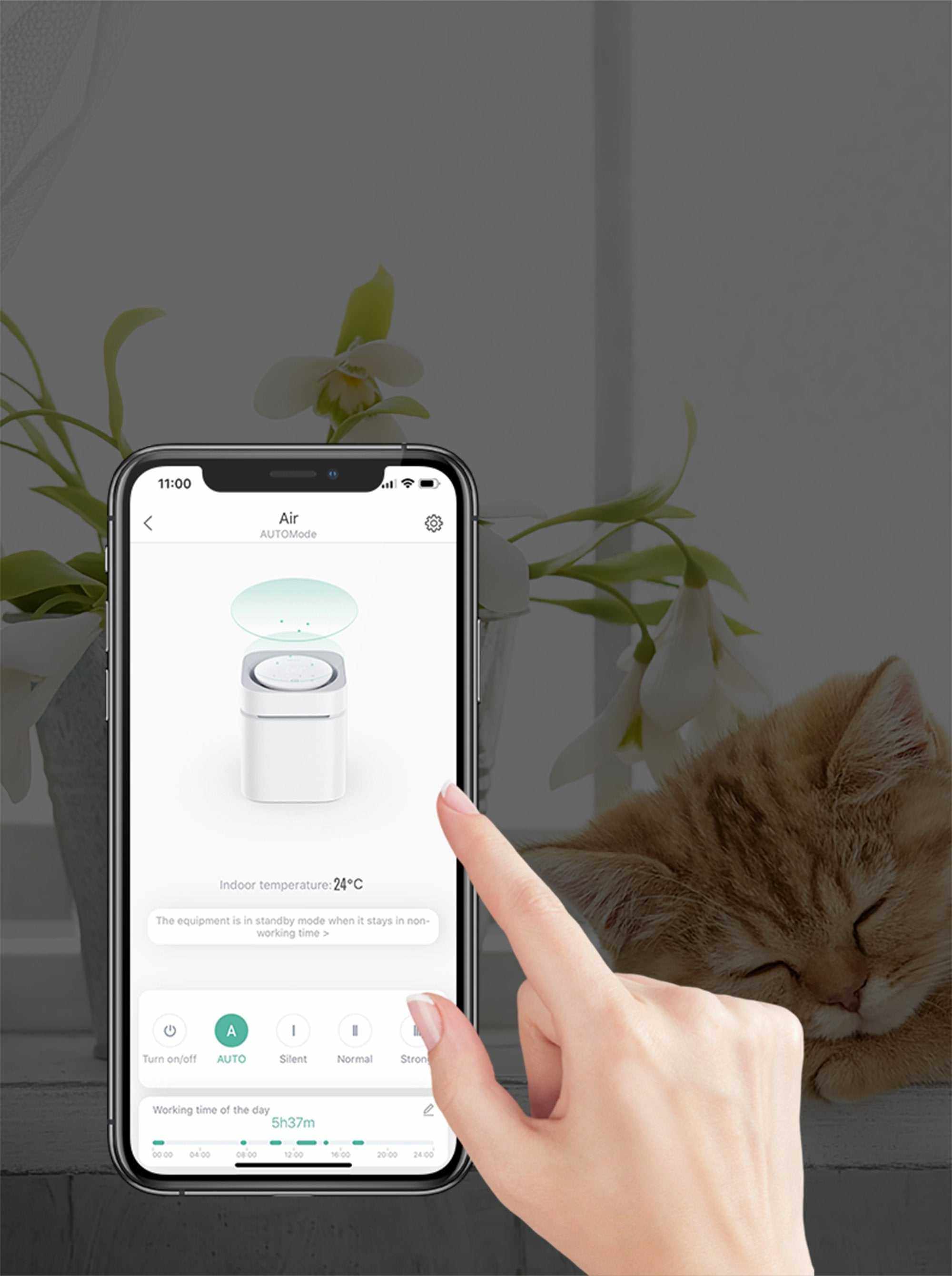 Instachew PETKIT Air Magicube | Éliminateur d’odeurs intelligent pour animaux