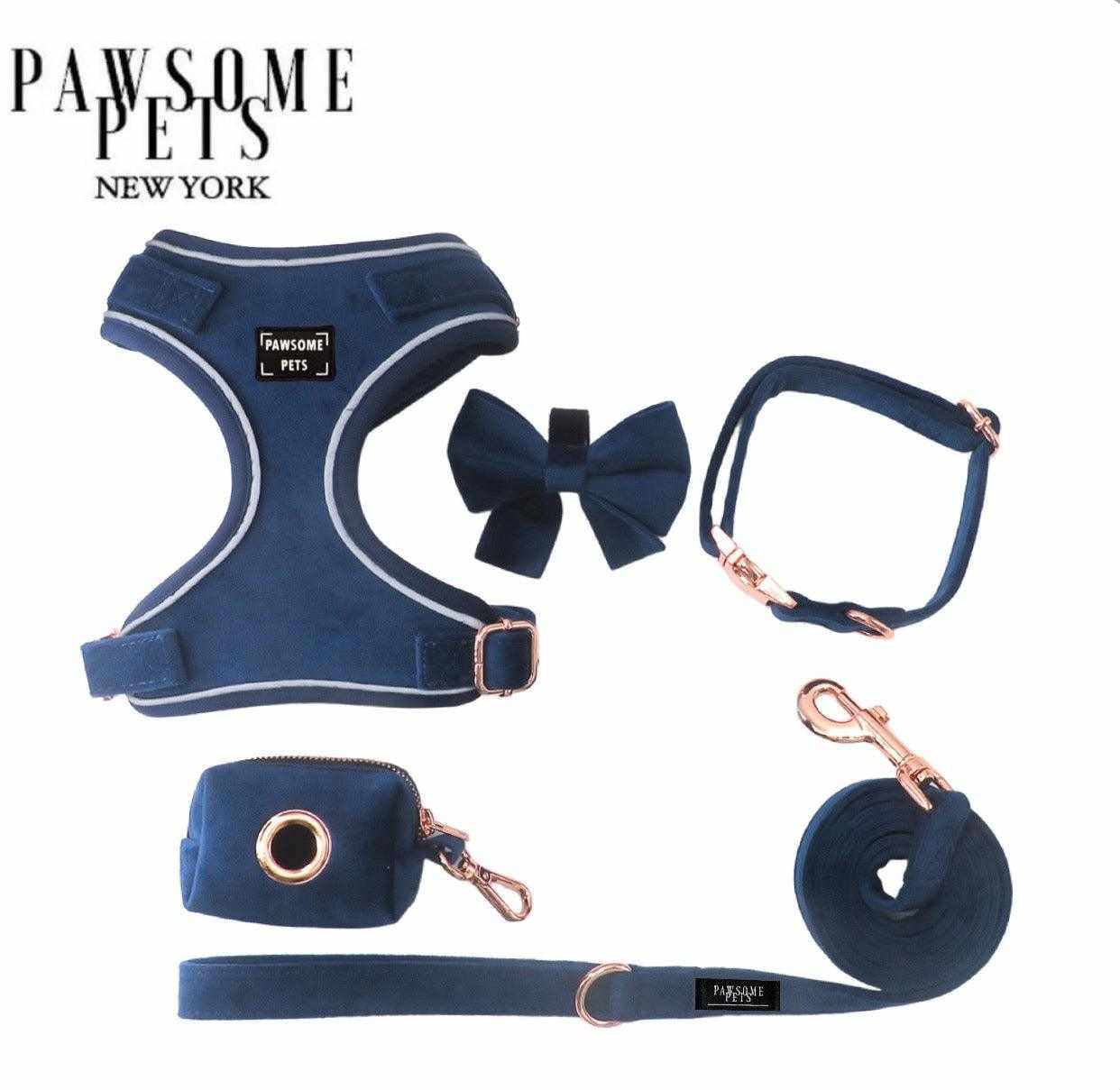 Ensemble Harnais & Laisse Réglable pour Chiens et Chats.