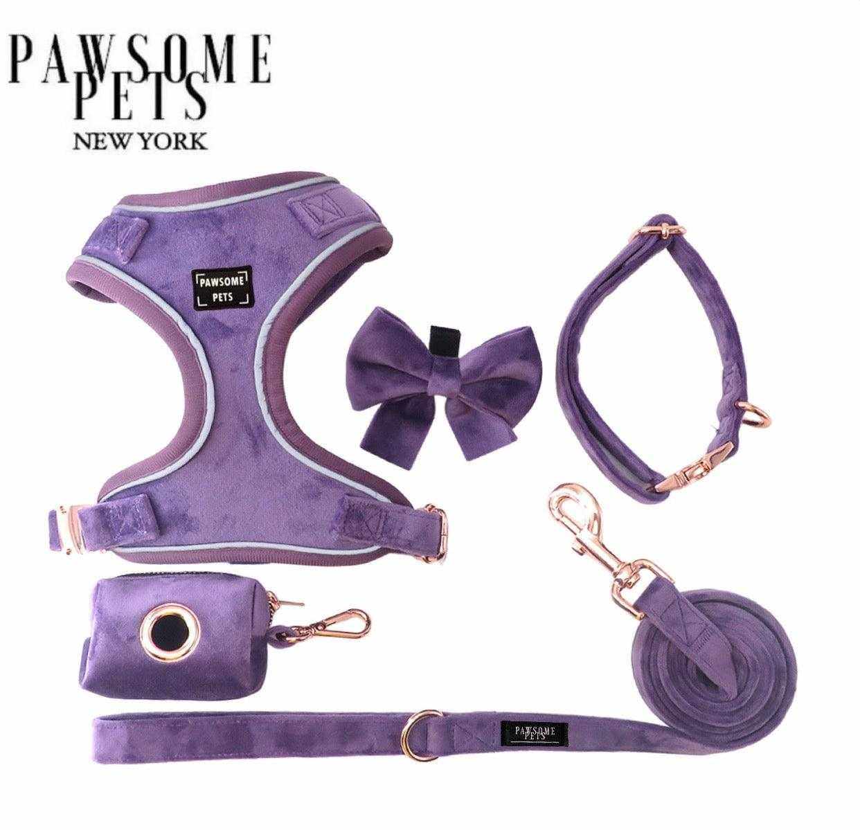Ensemble harnais et collier violet ajustable pour chien et chat avec laisse et accessoire assorti, confortable et élégant pour promenade.