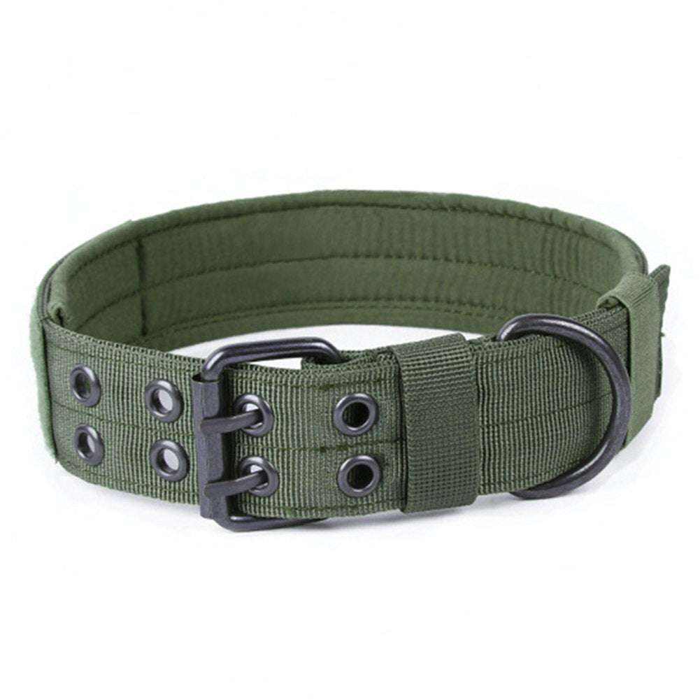 collier anti-usure en nylon vert pour chiens avec doublure rembourrée confortable et boucle ajustable