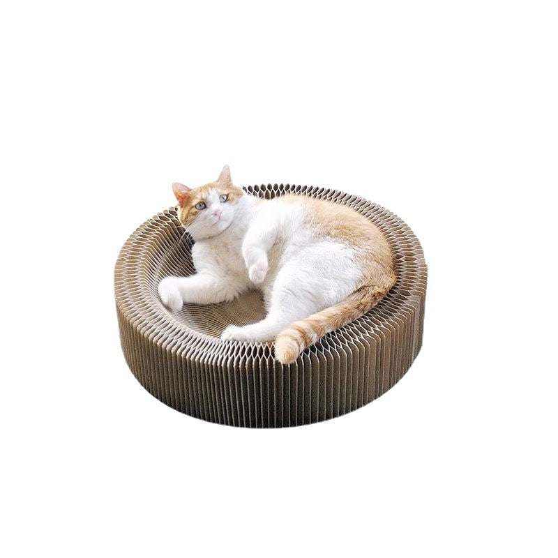 Chat allongé sur une planche à griffer accordéon en papier ondulé circulaire pour jeu et décompression sécurisée des griffes