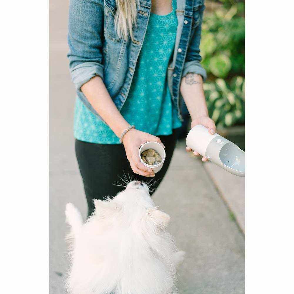 Instachew Rover Pet Travel Bottle, Dog Water Bottle