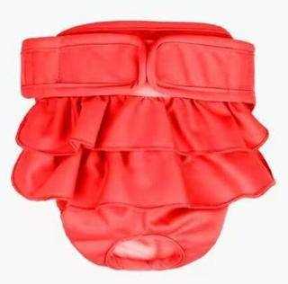 Ceinture physiologique pour chien ou chienne - rouge