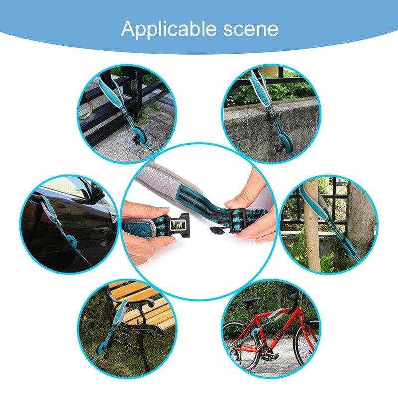 Laisse réfléchissante en nylon bleu avec sangle de sécurité pour chien, adaptée à diverses situations extérieures.