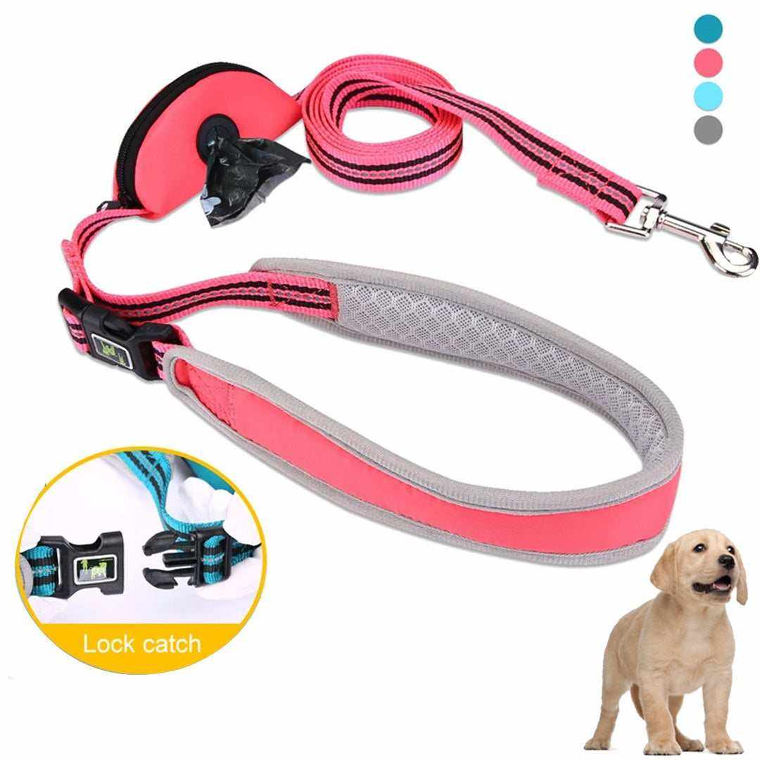 Reflective nylon dog leash with lock catch, available in blue, pink, cyan, grey; strong and stylish design.