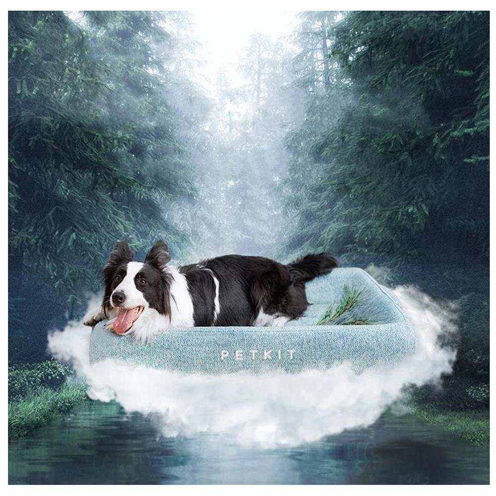 INSTACHEW Lit Petkit Deep Sleep | Mousse à Mémoire de Forme - Entre Chat et Chien