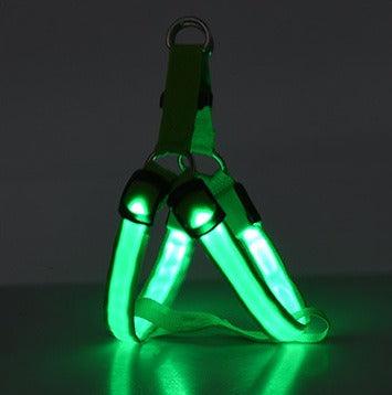 Arnés con luz LED para perros y gatos: visibilidad, seguridad y comodidad