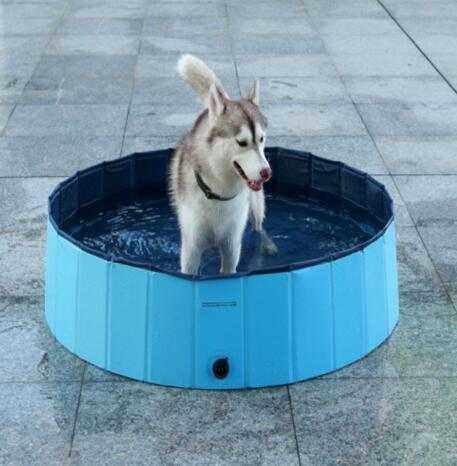 Piscine Pliable pour Chiens