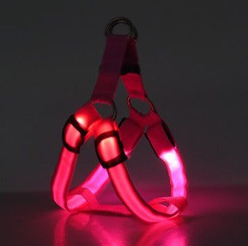 Arnés con luz LED para perros y gatos: visibilidad, seguridad y comodidad