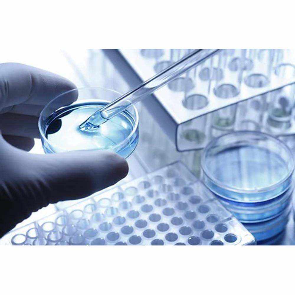 Instachew PETKIT Air Magicube | Éliminateur d’odeurs intelligent pour animaux