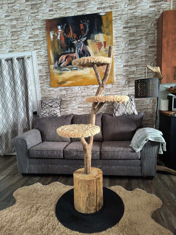 Arbres à Chat Artisanaux en Bois Naturel - La Boîte D Art A Talie