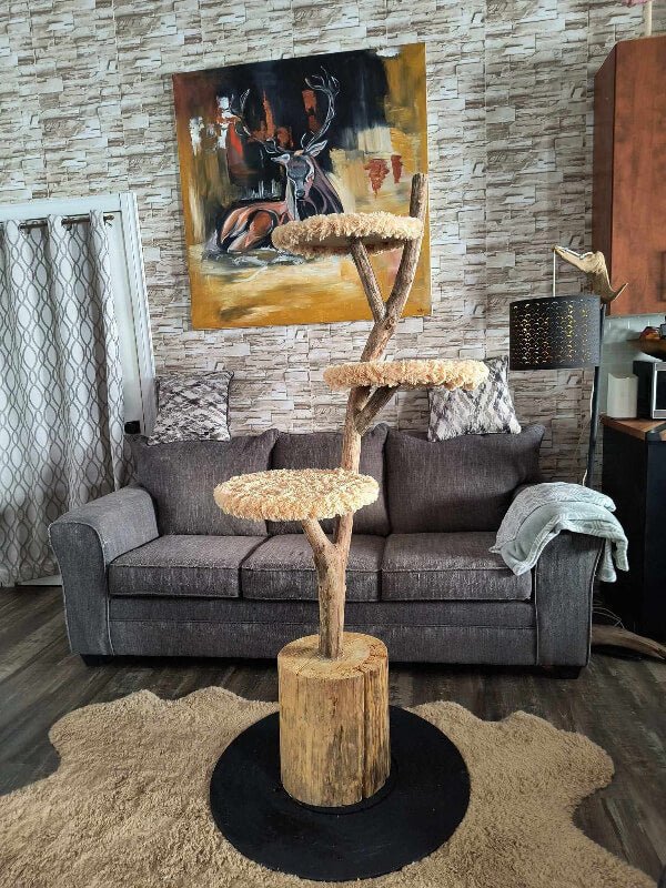 Arbre à chat en bois naturel dans salon rustique chic - Plateformes beige doré sur base métal noir - Artisanat Talie