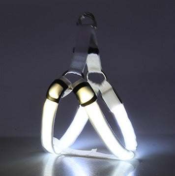 Arnés con luz LED para perros y gatos: visibilidad, seguridad y comodidad