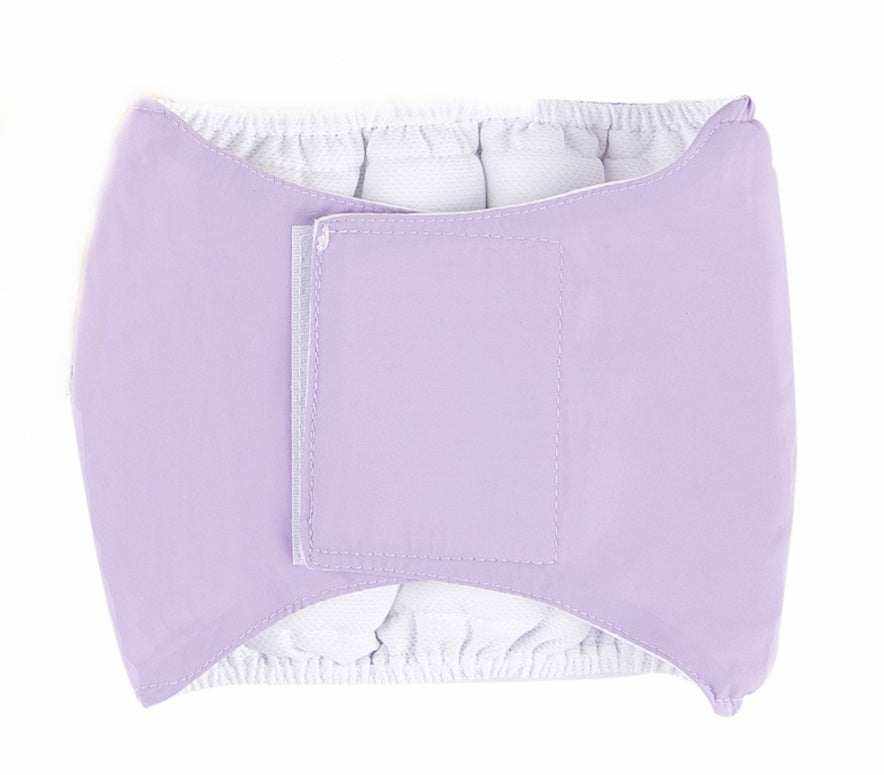 Ceinture physiologique pour chien - confortable et pratique - violet