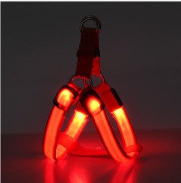 Arnés con luz LED para perros y gatos: visibilidad, seguridad y comodidad