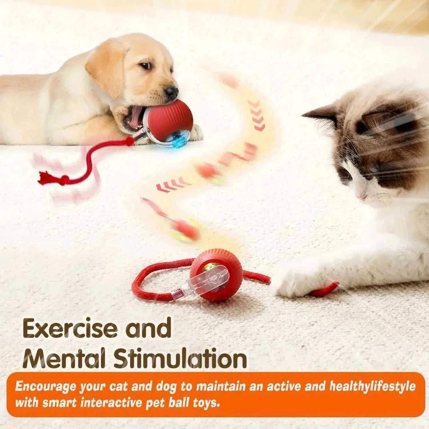 Jouet balle automatique pour chiens - design résistant et amusant