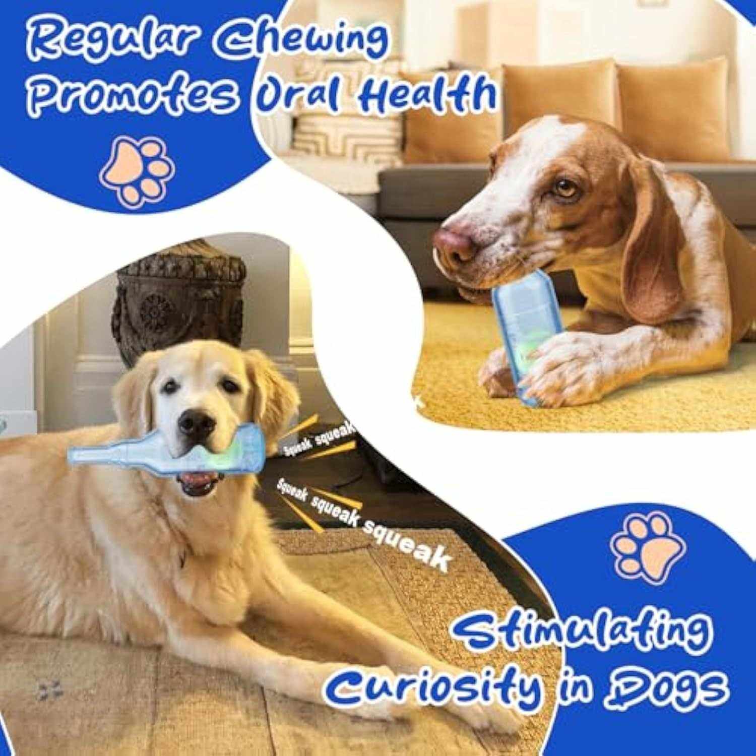 Jouet bouteille pour chien avec bruit interactif grinçant