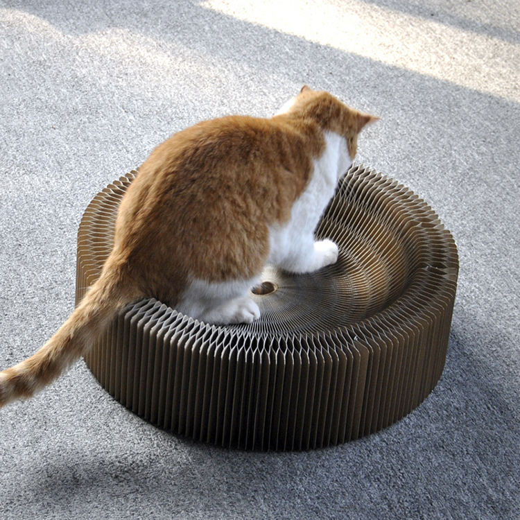 Planche à Griffer Accordéon pour Chats | Jeu & Décompression pour Griffes en Toute Sécurité