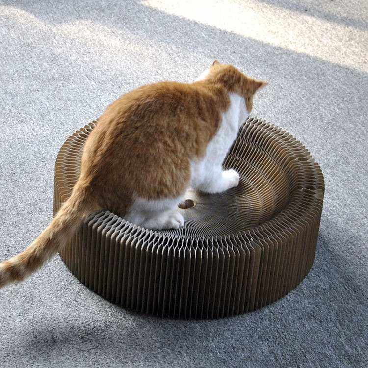 Chat jouant sur une planche à griffer accordéon en papier ondulé pour entretien des griffes et jeu sécurisé