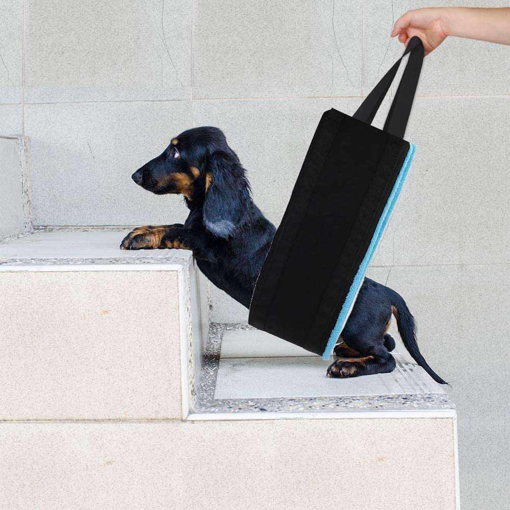 Ceinture auxiliaire pour chiens aidant un chien à monter les escaliers, offrant soutien et confort.