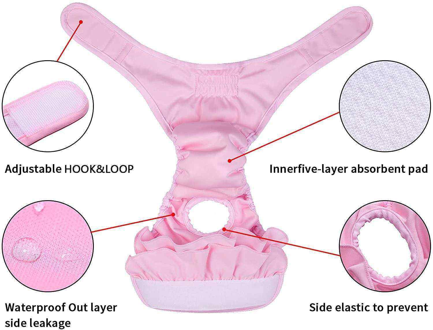 Ceinture physiologique pour animaux | Confort, hygiène & élégance