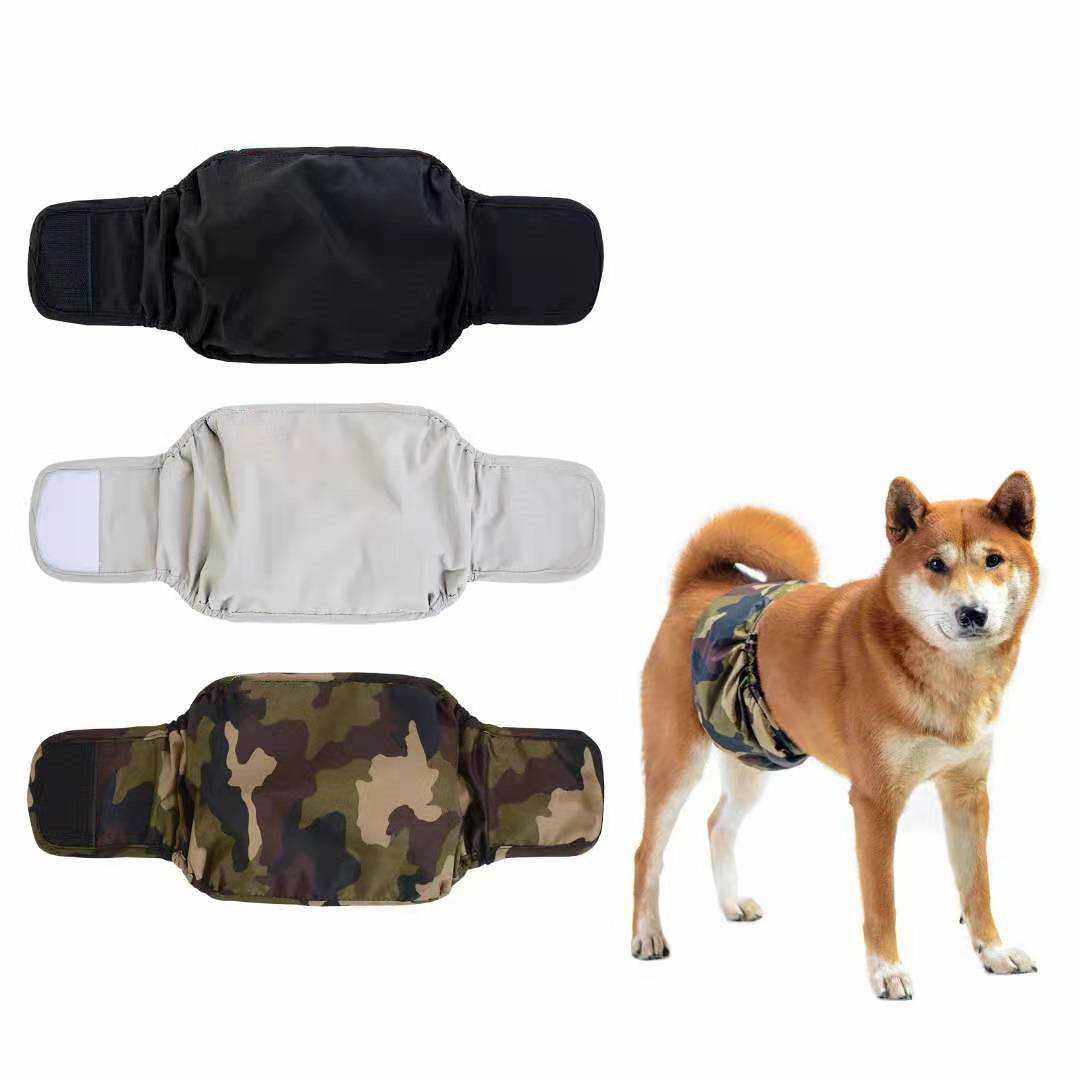 Ceinture physiologique pour chiens | Confort, propreté & protection