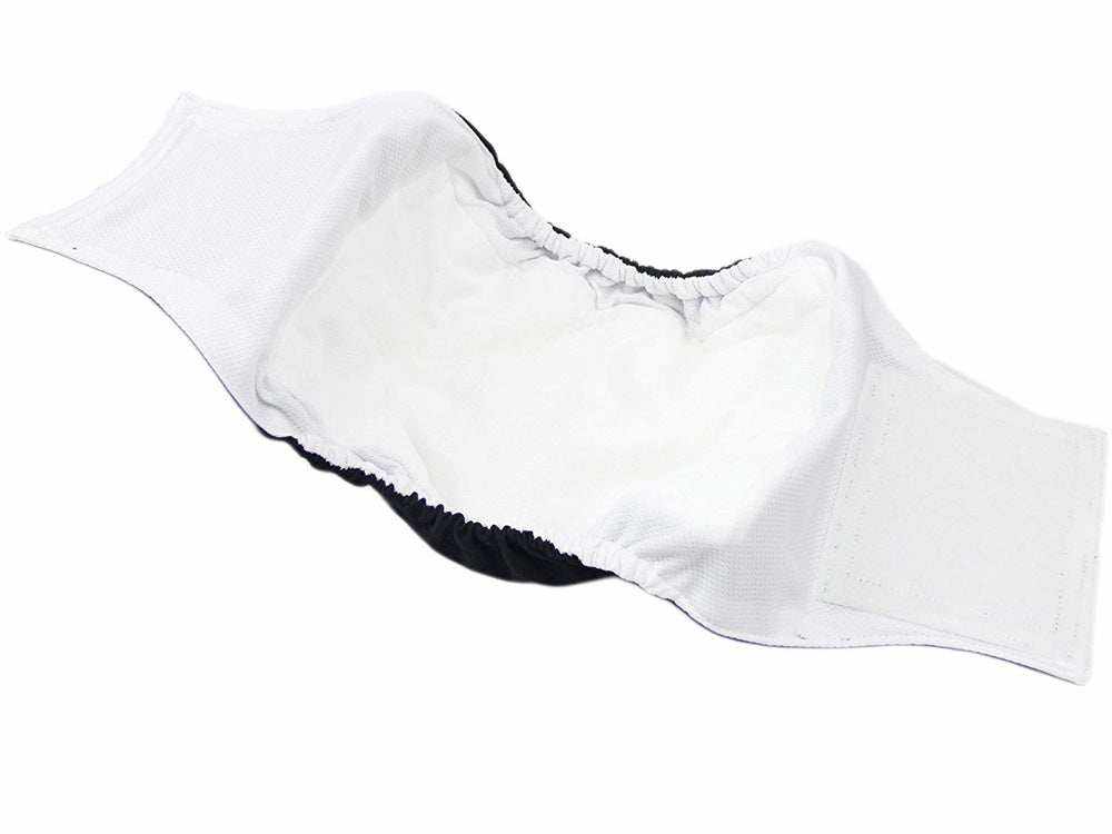 Ceinture physiologique pour chiens | Confort, propreté & protection