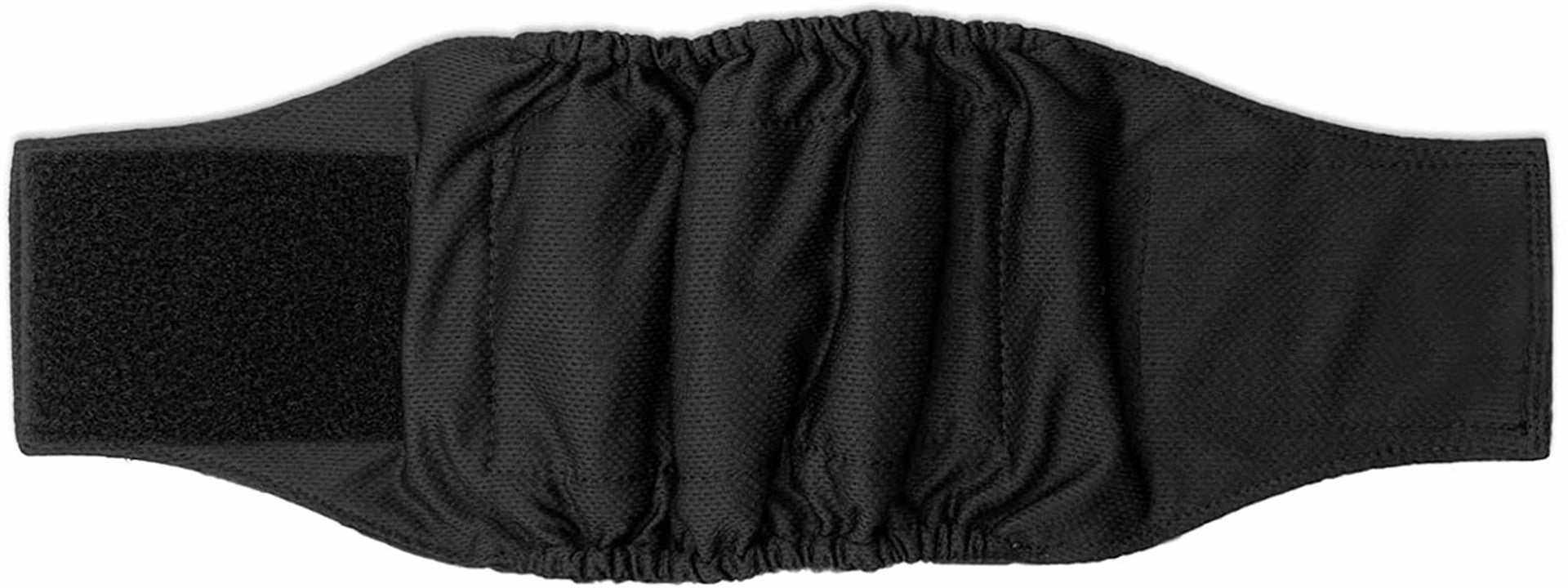 Ceinture physiologique pour chiens | Confort, propreté & protection