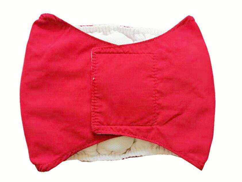 Ceinture physiologique pour chiens | Confort, propreté & protection