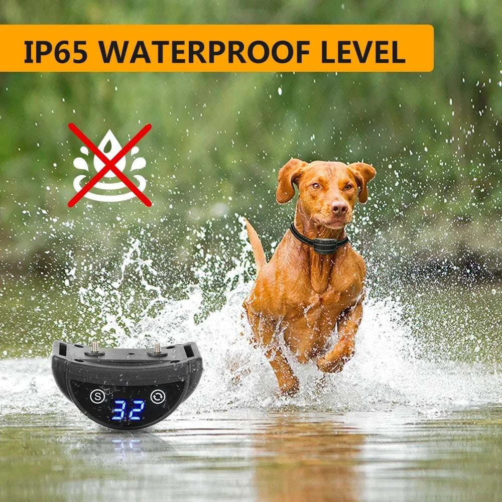 Collier Anti-Aboiement pour Chiens | Rechargeable, Étanche & Intelligent