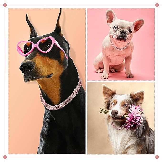Collier Bijoux Cubain | Élégance & Style Hip-Hop | Chiens & Chats