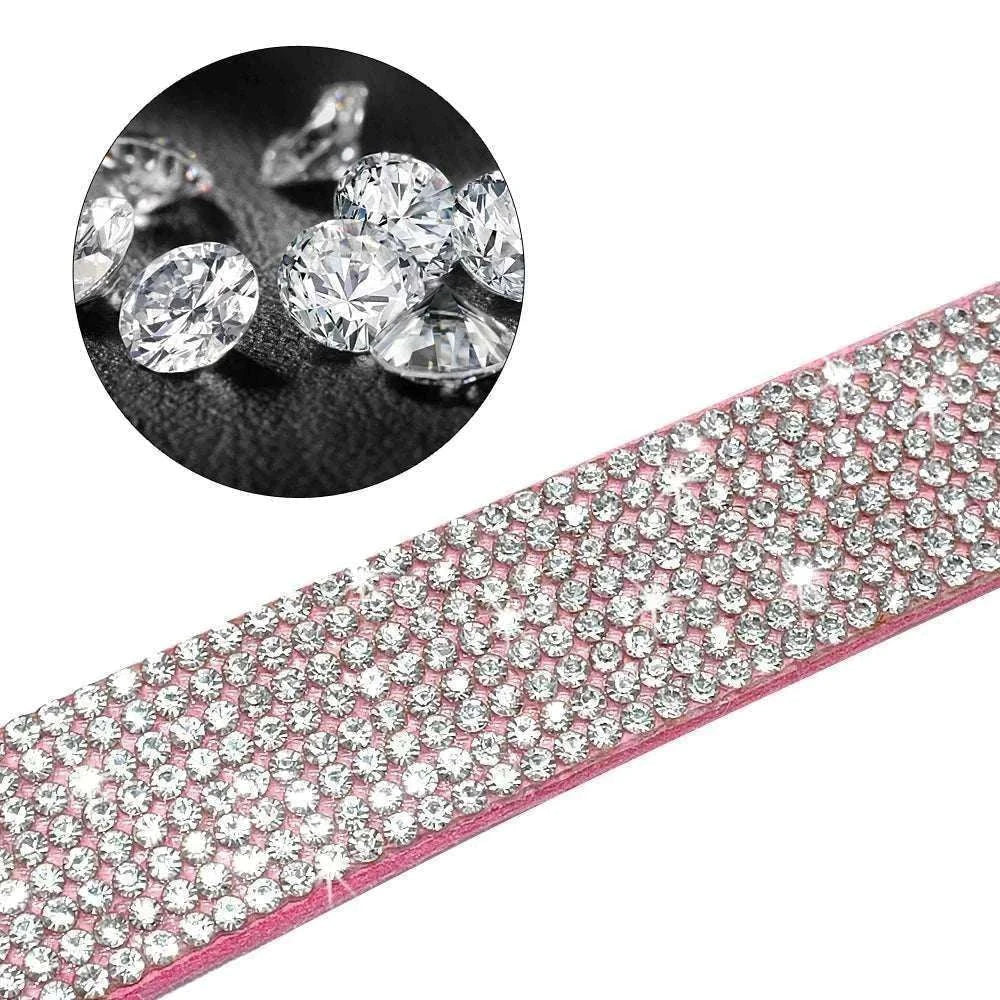 Collier et laisse vue de proche