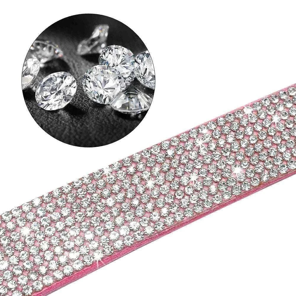 Collier et laisse vue de proche