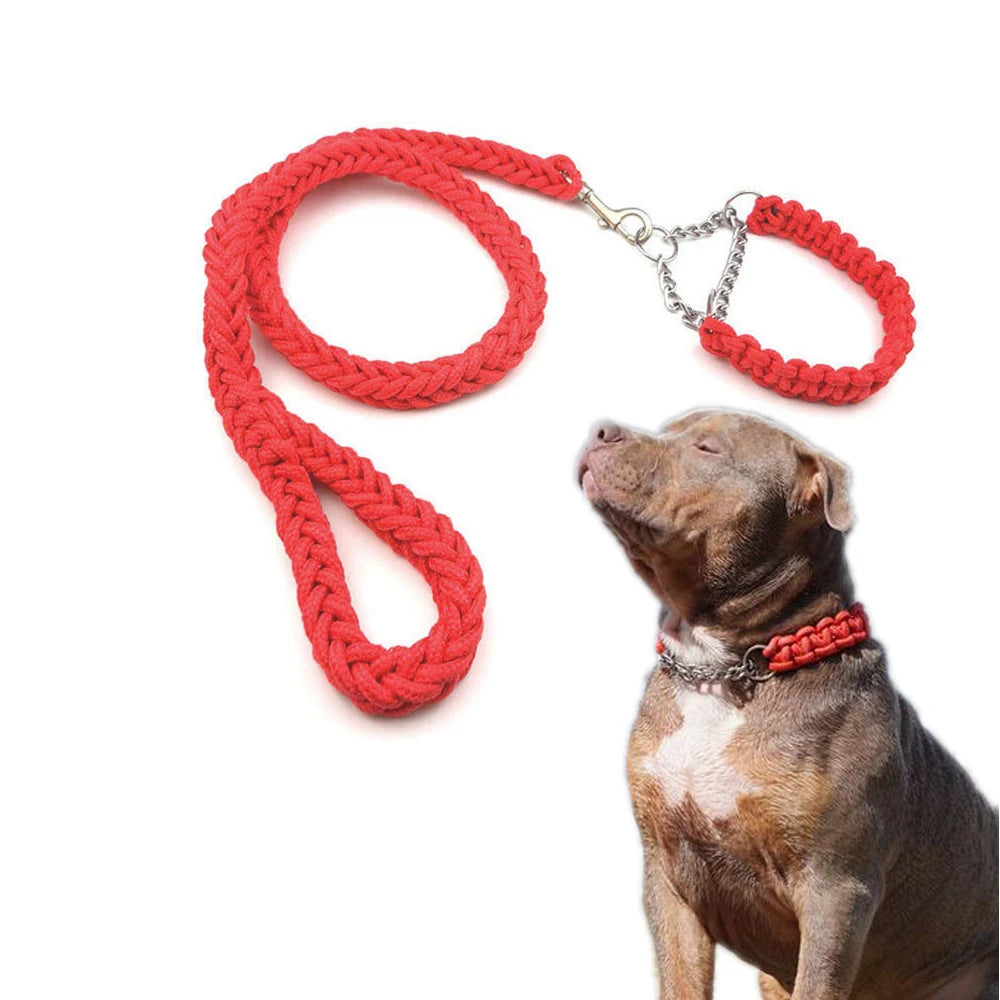 Colliers et Laisses en Nylon Tressé | Luxe et Résistance pour Chiens