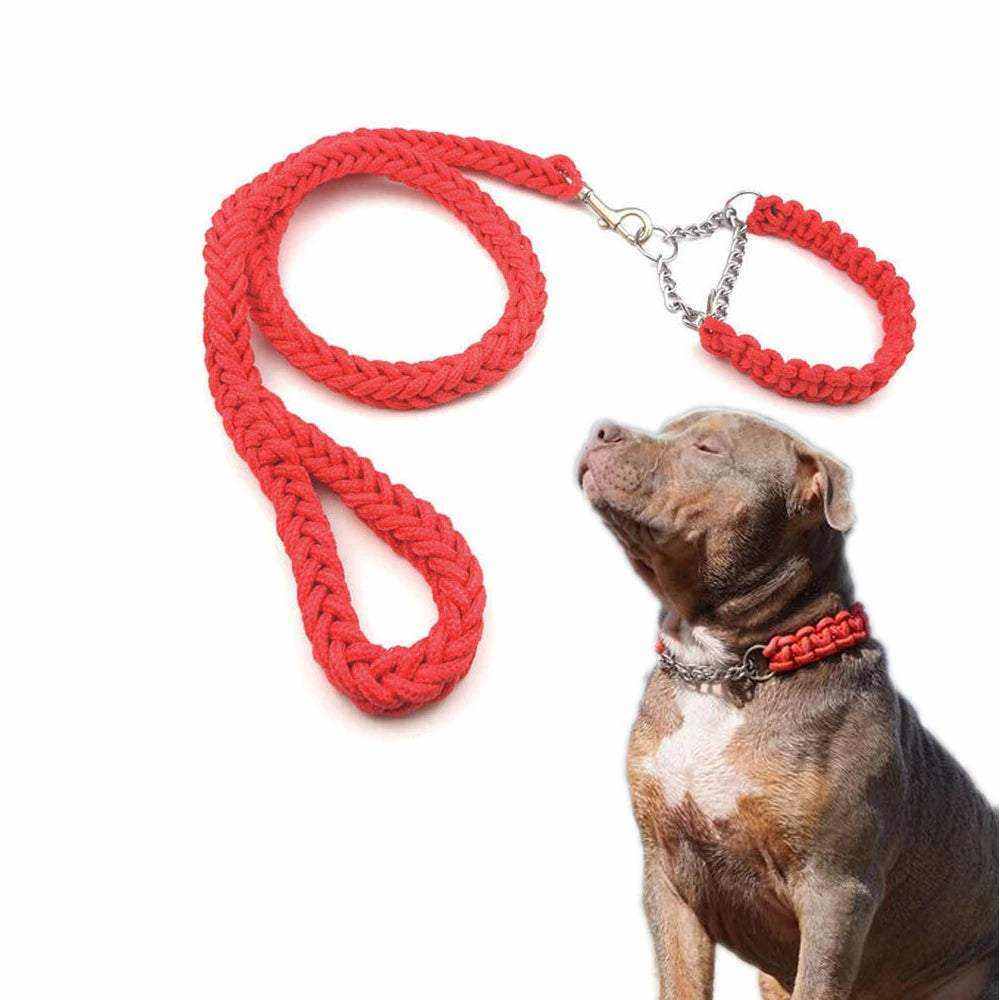Colliers et Laisses en Nylon Tressé | Luxe et Résistance pour Chiens
