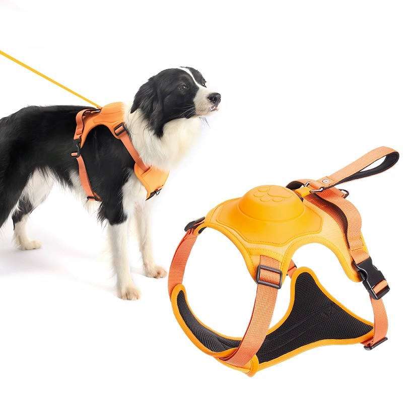 Harnais 2 en 1 avec Laisse Rétractable pour Chiens | sans traction | en tissu Oxford robuste | couleur orange, taille M, pour petits chiens de 6,8 à 15 kg.