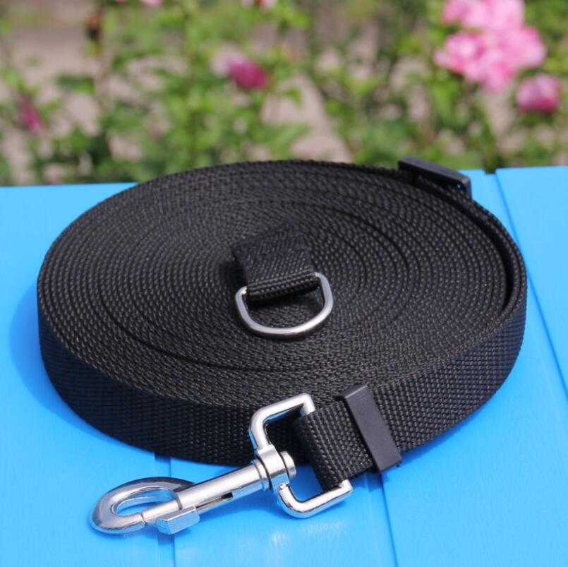 Nylon dog leash with metal hook and D-ring, available in various lengths for outdoor security and training.