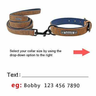 Collier en cuir personnalisable pour chien avec gravure, confortable et réglable, idéal pour toutes races et tailles.