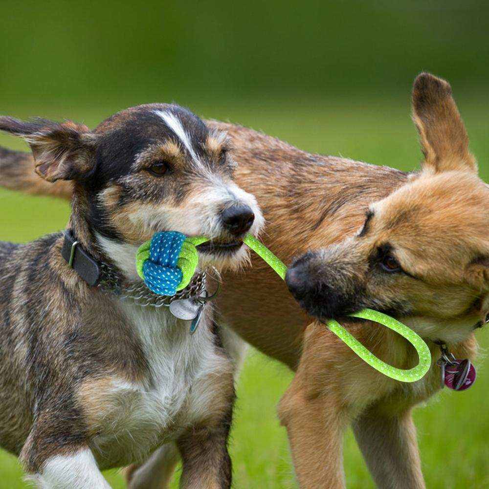 Jouet à Mâcher en Corde Durable pour Chiens et Chiots