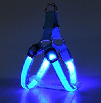 Arnés con luz LED para perros y gatos: visibilidad, seguridad y comodidad